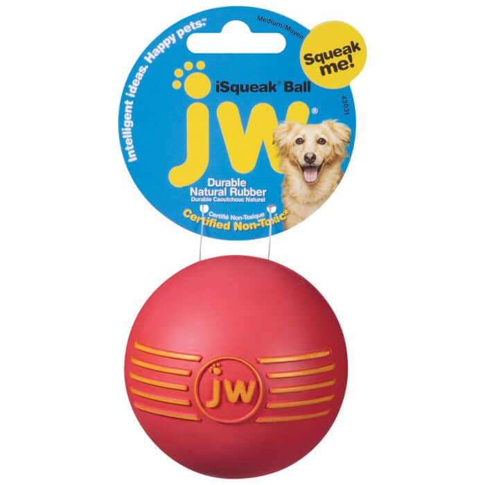 JW iSQUEAK BALL