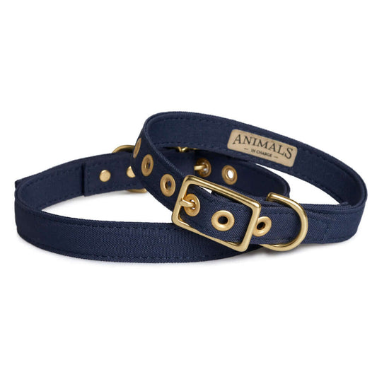 Navy + Brass All Weather Dog Collar