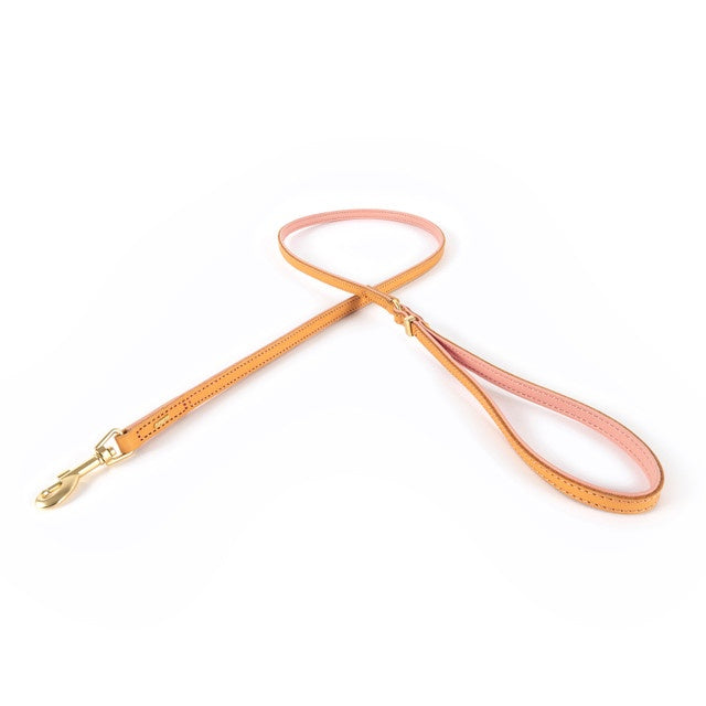 Ezydog Leash Oxford Blush