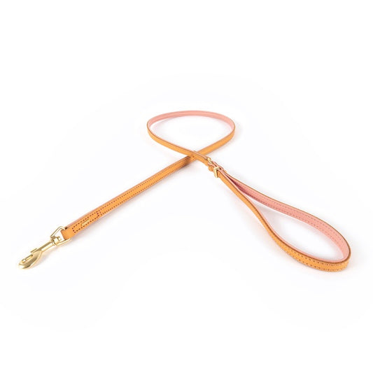 Ezydog Leash Oxford Blush