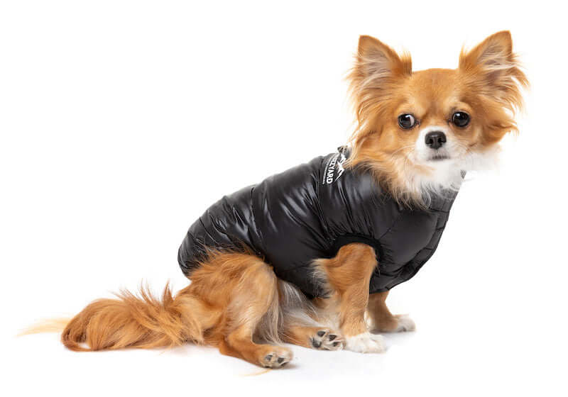 East Harlem Puffer Jacket