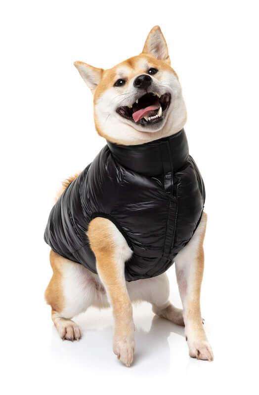East Harlem Puffer Jacket