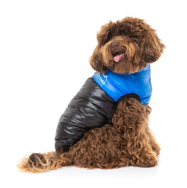 East Harlem Puffer Jacket