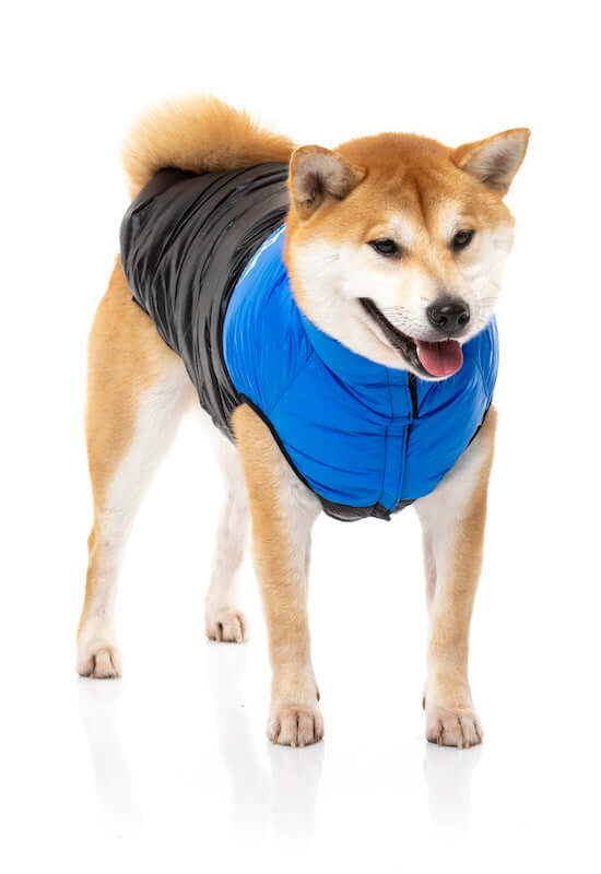 East Harlem Puffer Jacket