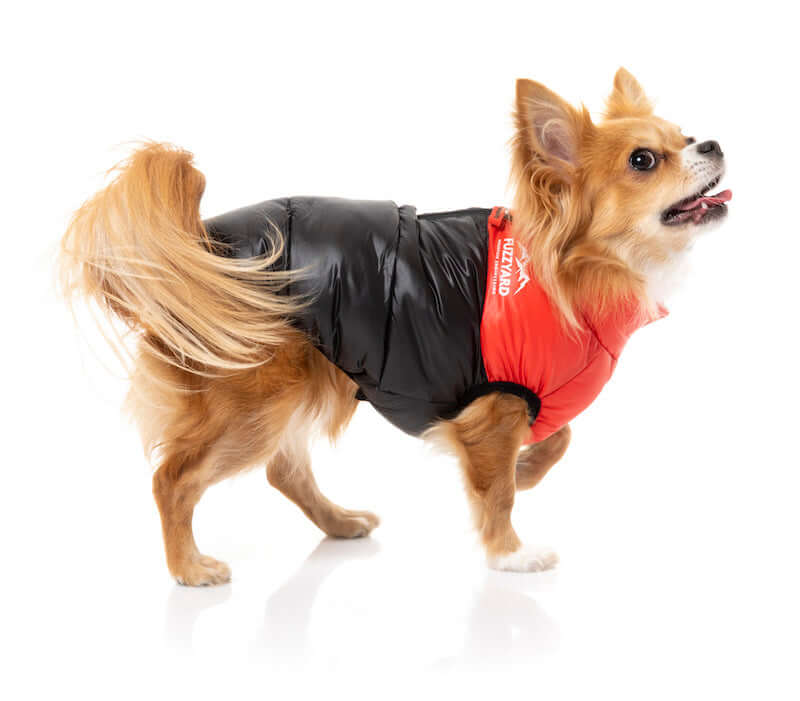 East Harlem Puffer Jacket