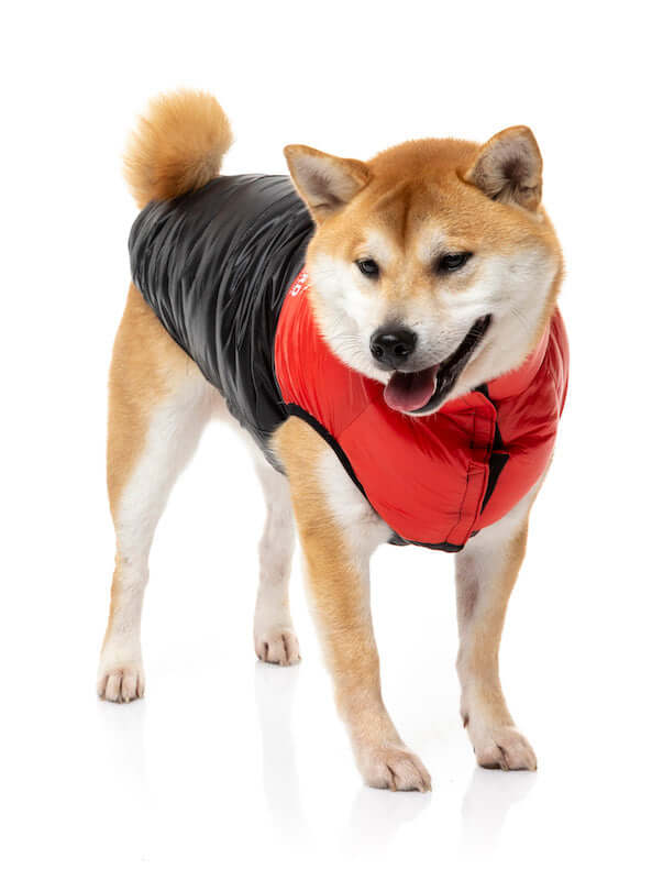 East Harlem Puffer Jacket