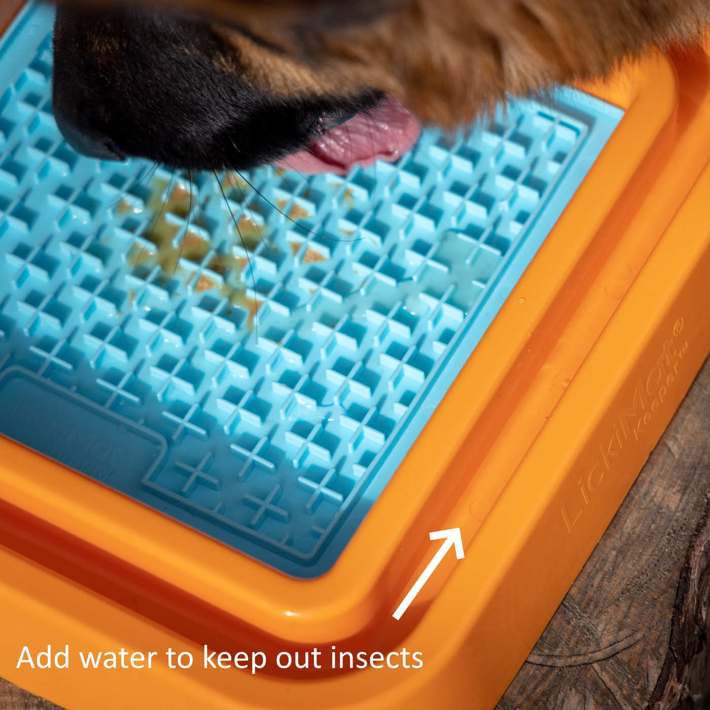 The Outdoor Keeper Ant-Proof Lickimat Pad Holder - Orange