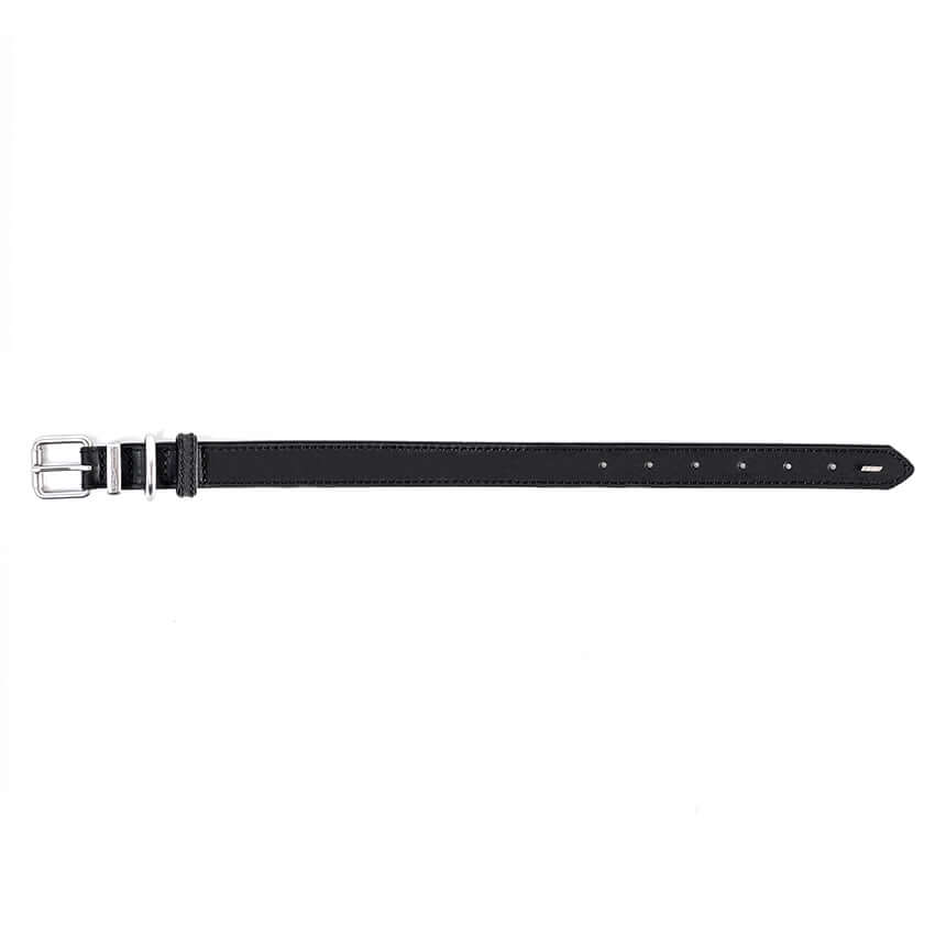 Ezydog Collar Oxford Black