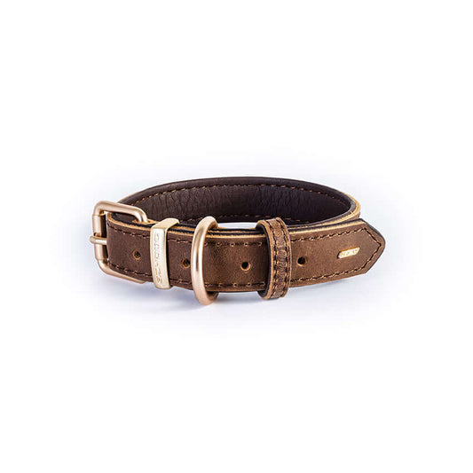 Ezydog Collar Oxford Brown