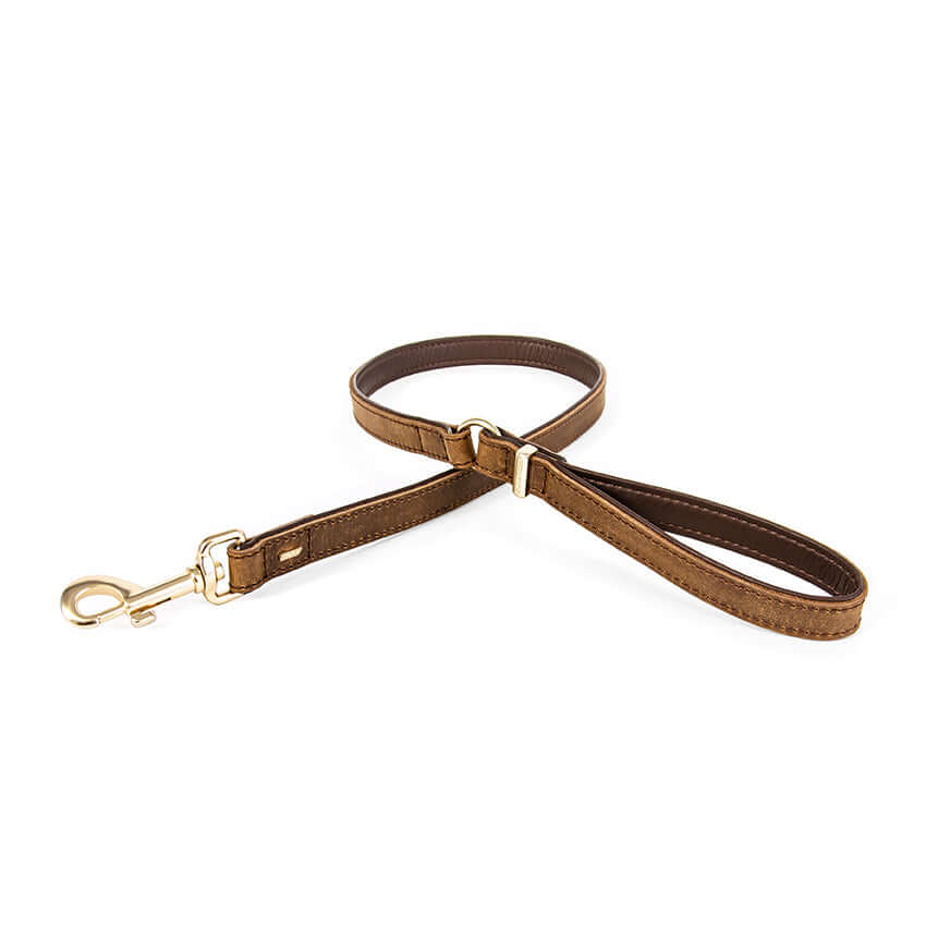 Ezydog Leash Oxford Brown
