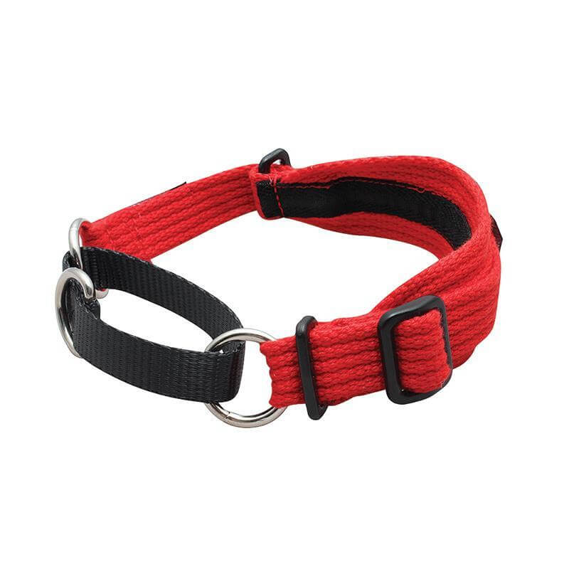 BlackDog Whippet Collar