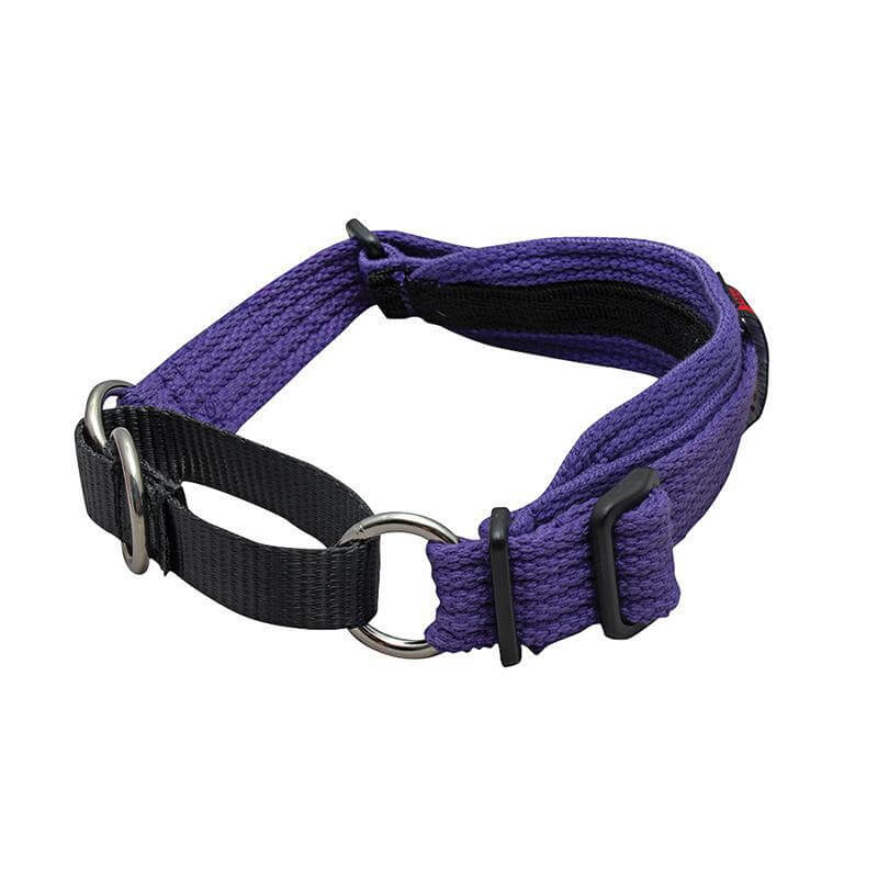 BlackDog Whippet Collar