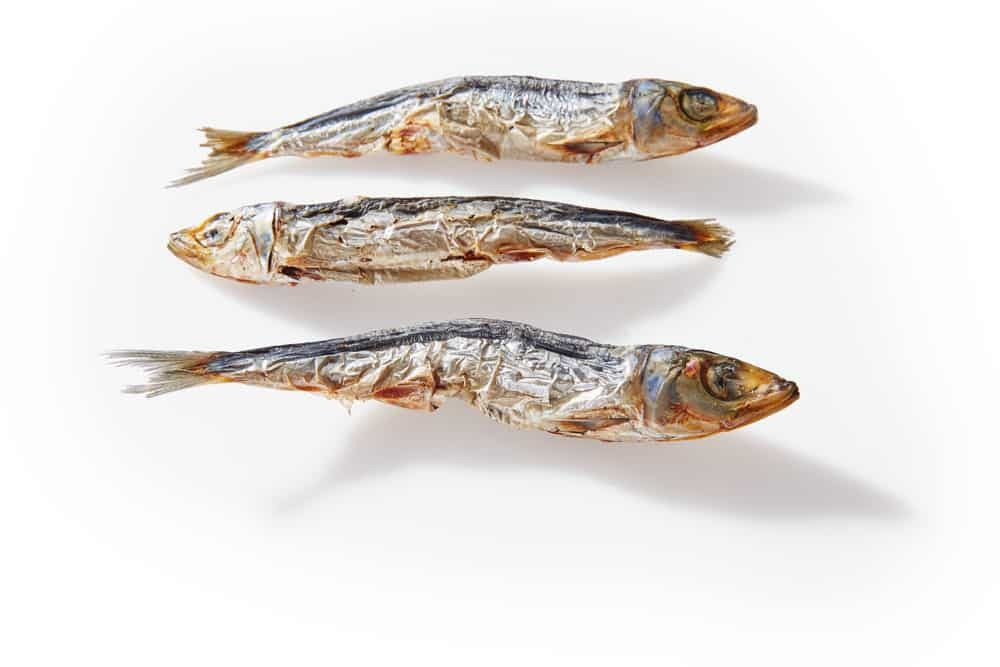 CLEAR DOG TREATS Pilchards