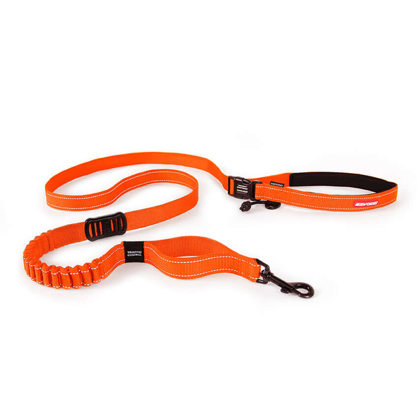 EZYDOG The Road Runner Leash
