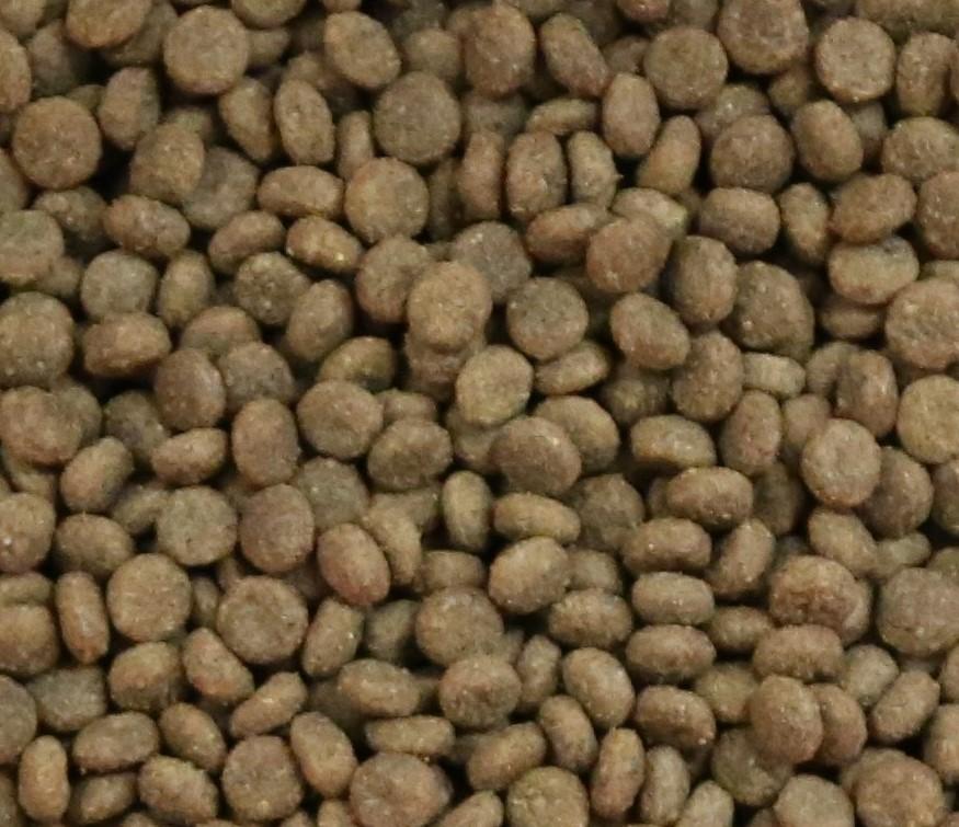 Vetalogica Hunter Valley Harvest