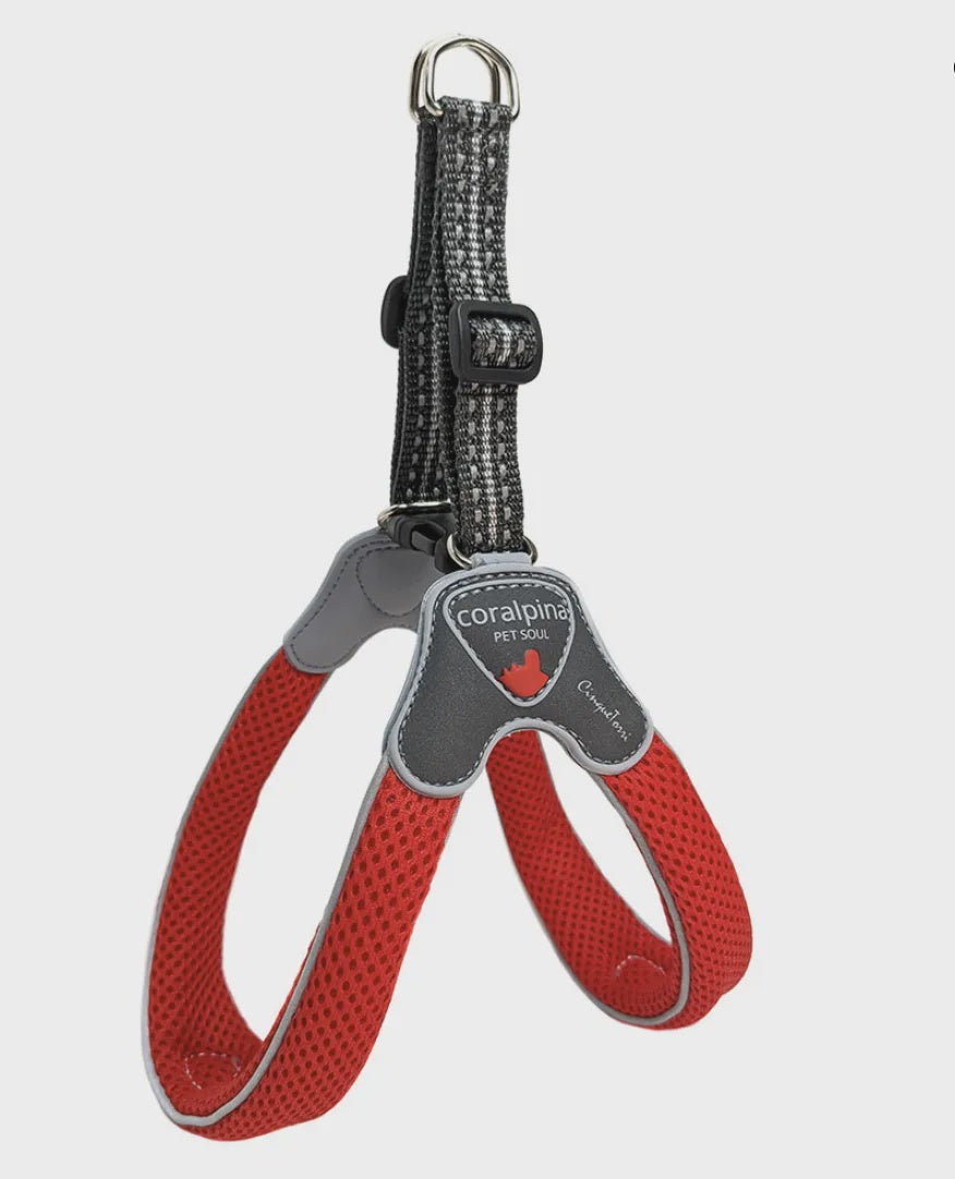Coralpina Cinquetorri Harness / Red