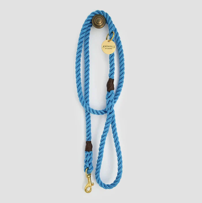 Sky Blue + Brass Rope Dog Leash