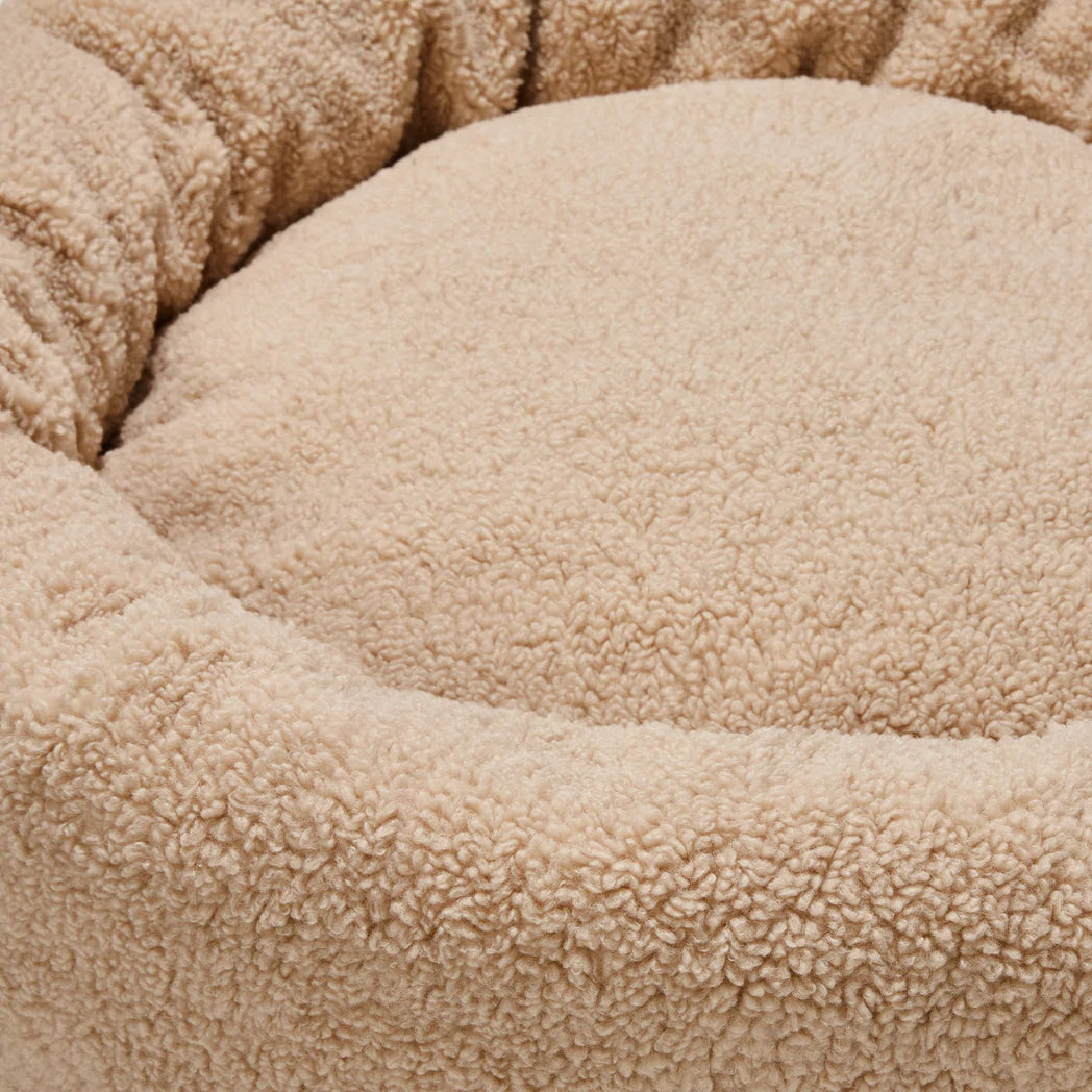 Teddy Calming Cuddler Camel