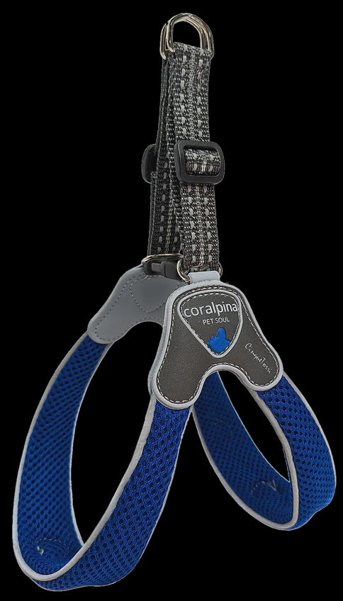 Coralpina Cinquetorri Harness / Electric Blue