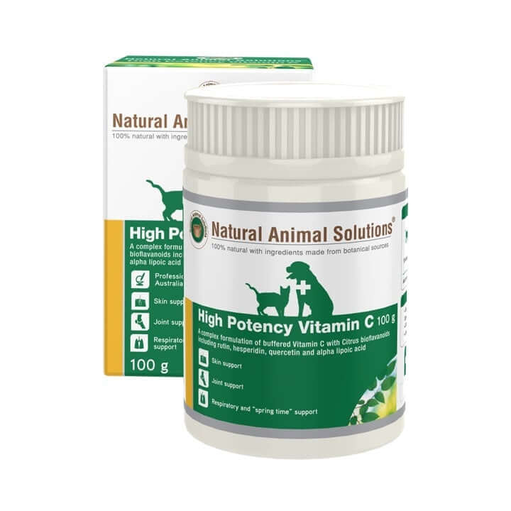 High Potency Vitamin C 100g - Supplement