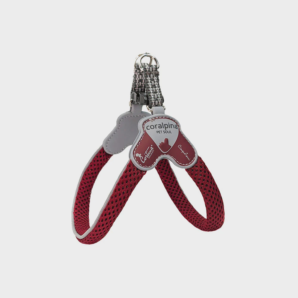 Coralpina Cinquetorri Harness / Red Wine