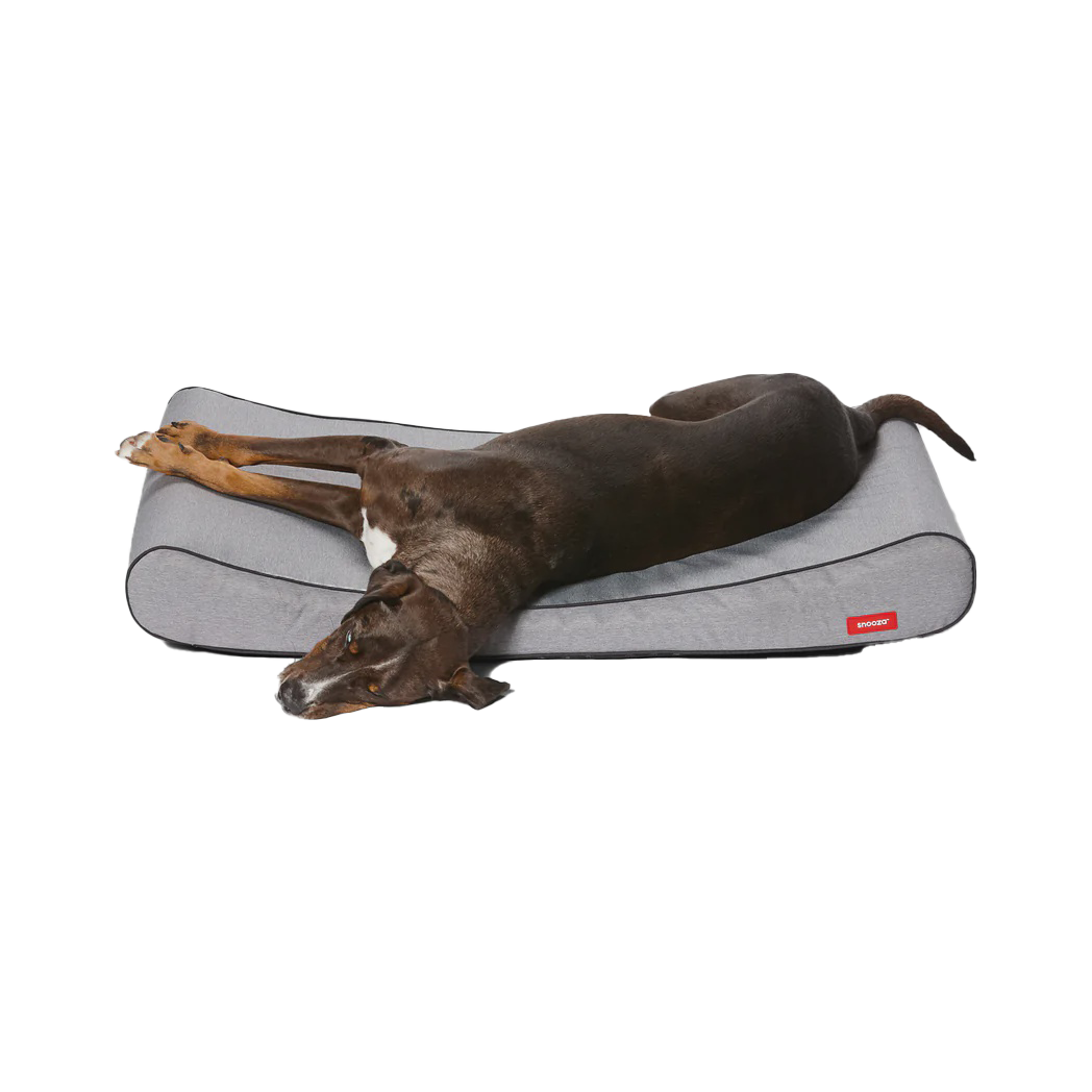 Ortho Lounger Grey Large- Water Repellent