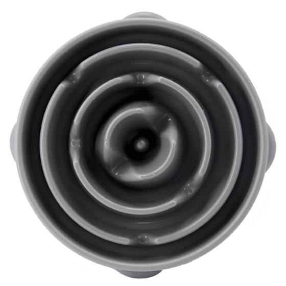 Fun Feeder Slow Bowl
