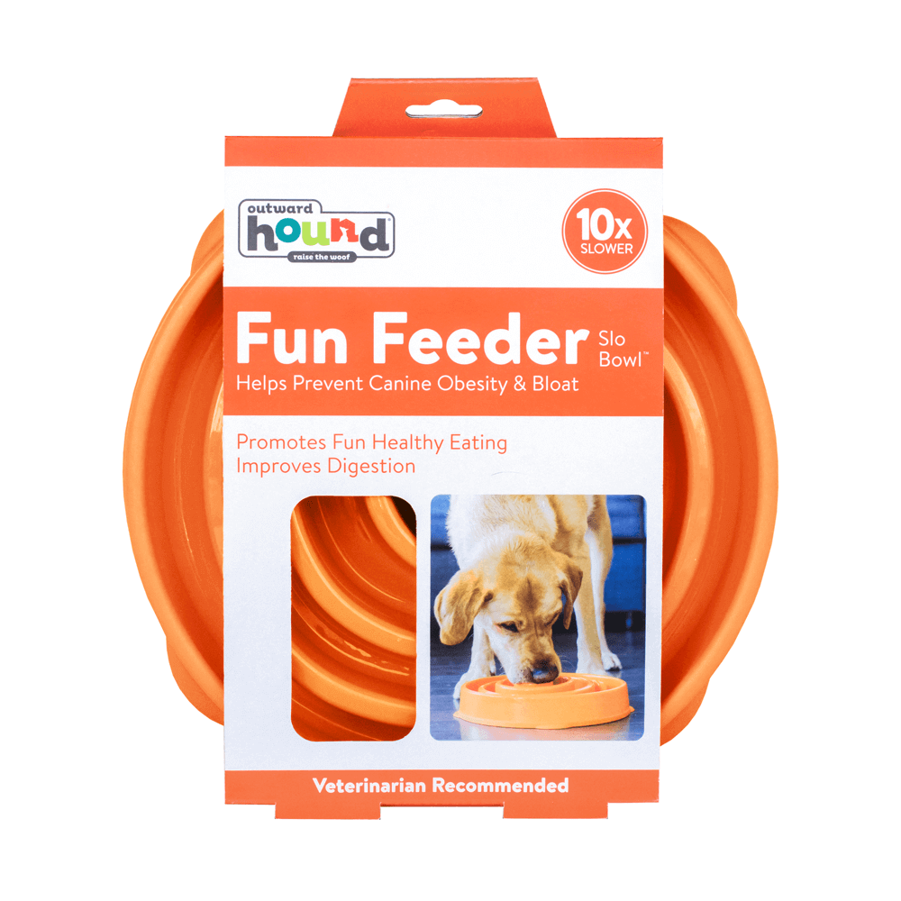 Fun Feeder Slow Bowl