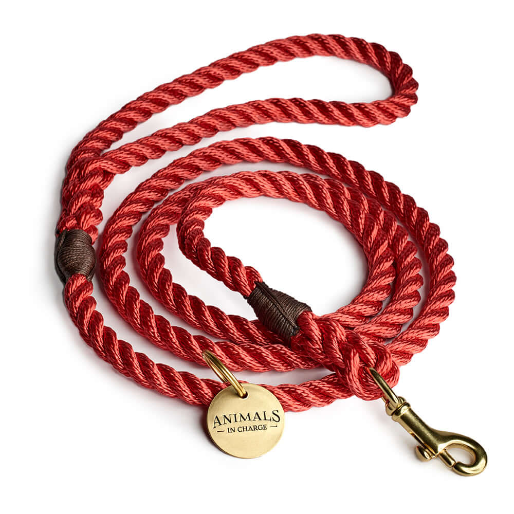 Red + Brass Rope Dog Leash