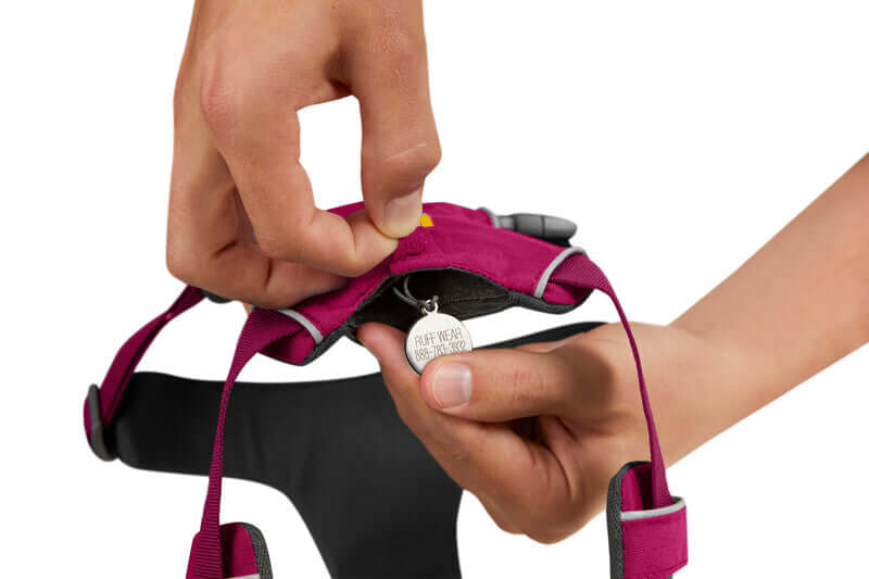 Ruffwear Front Range Harness Hibiscus Pink