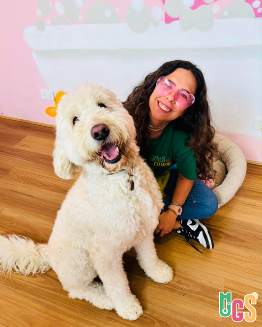 How to Fix Dog Anxiety: Proven, Vet-Backed Solutions That Work