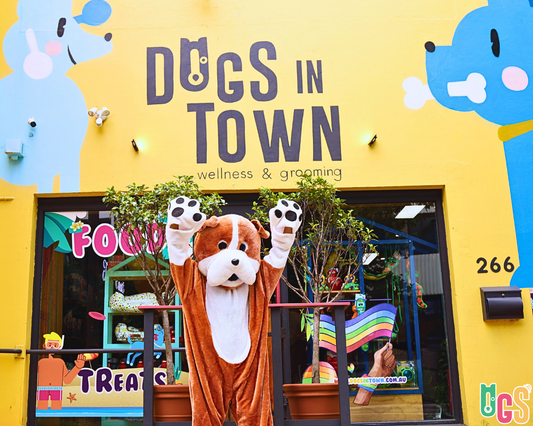 Dog Cafes in Sydney: The Ultimate Local Guide for Dog Owners