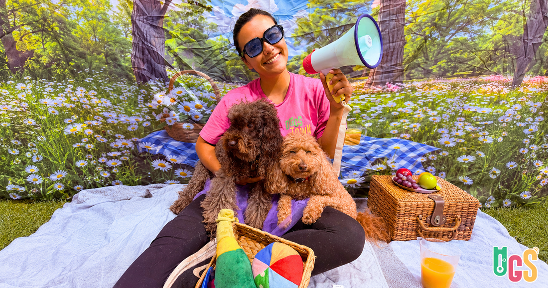 How Often Should You Groom Your Dog in Sydney?
