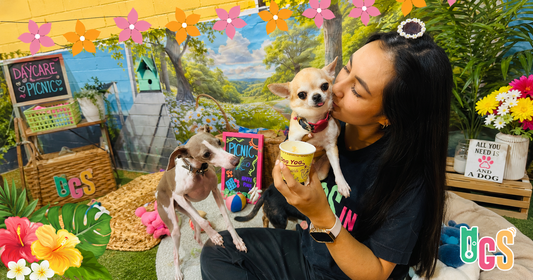 How Socialization Affect Your Puppy Before Reaching Adulthood