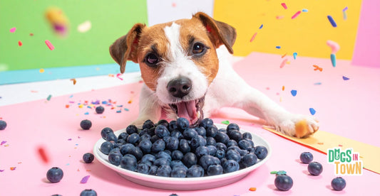 Can Dogs Eat Blueberries?
