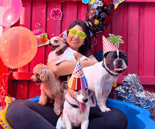 K9 store near me clearance