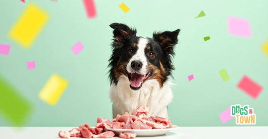 Dogs Eat Raw Chicken?