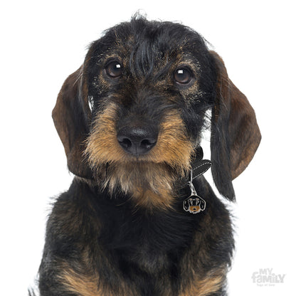 MyFamily Dog ID Tag / Black & Tan Wire-Haired Dachshund