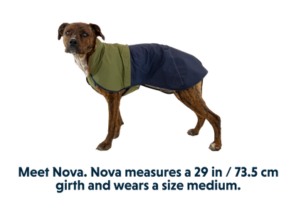 RUFFWEAR Sun Shower™ Dog Raincoat