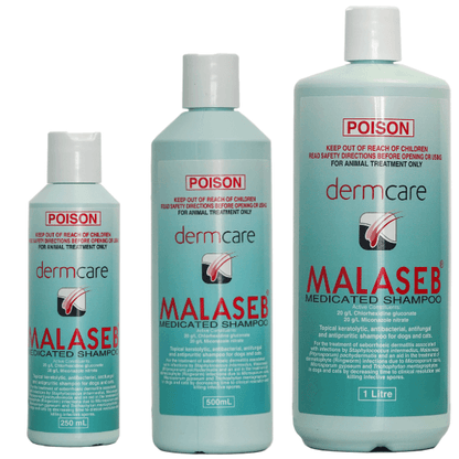 DermCare Malaseb Shampoo