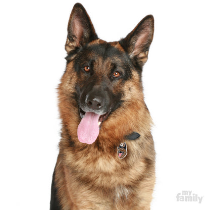 MyFamily Dog ID Tag / German Shepherd