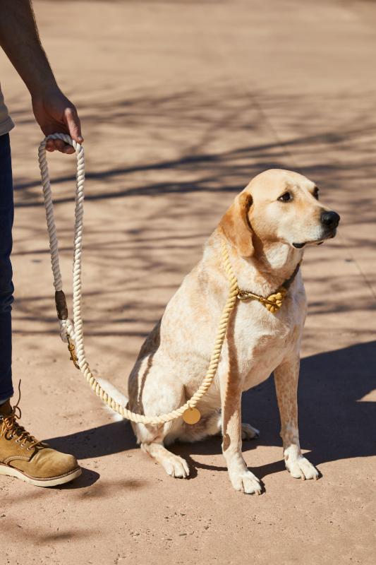 FOUND MY ANIMAL Adjustable Rope Dog Leash