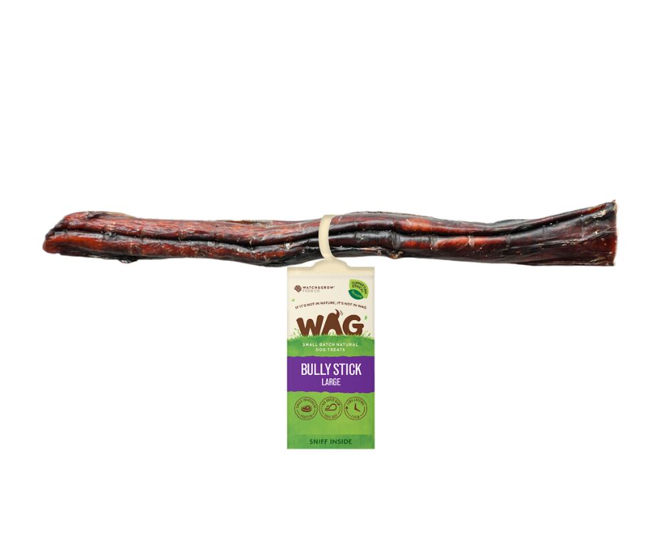 WAG Bully Stick Large