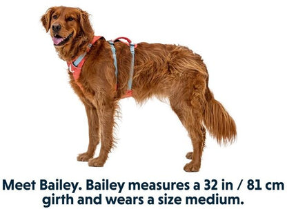 RUFFWEAR Flagline™ Dog Harness with Handle