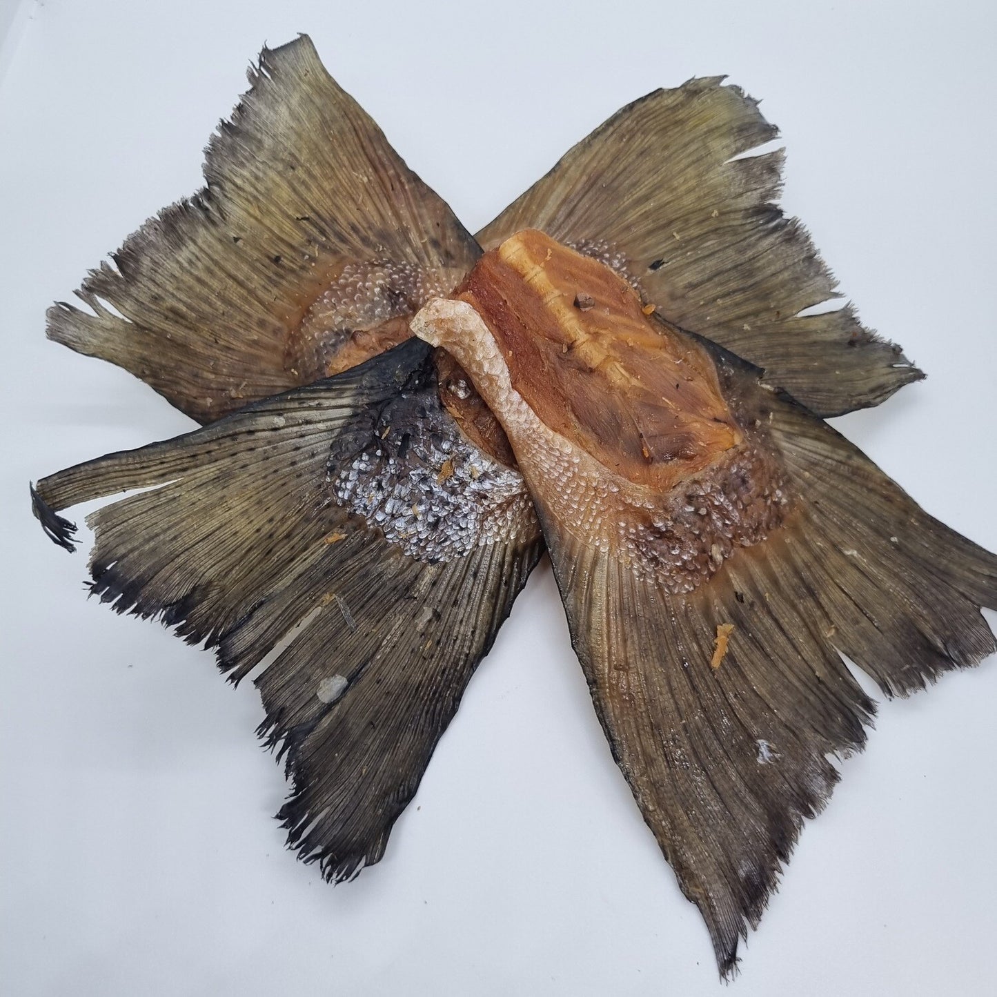 Dried salmon tails - The Pawfect Butcher