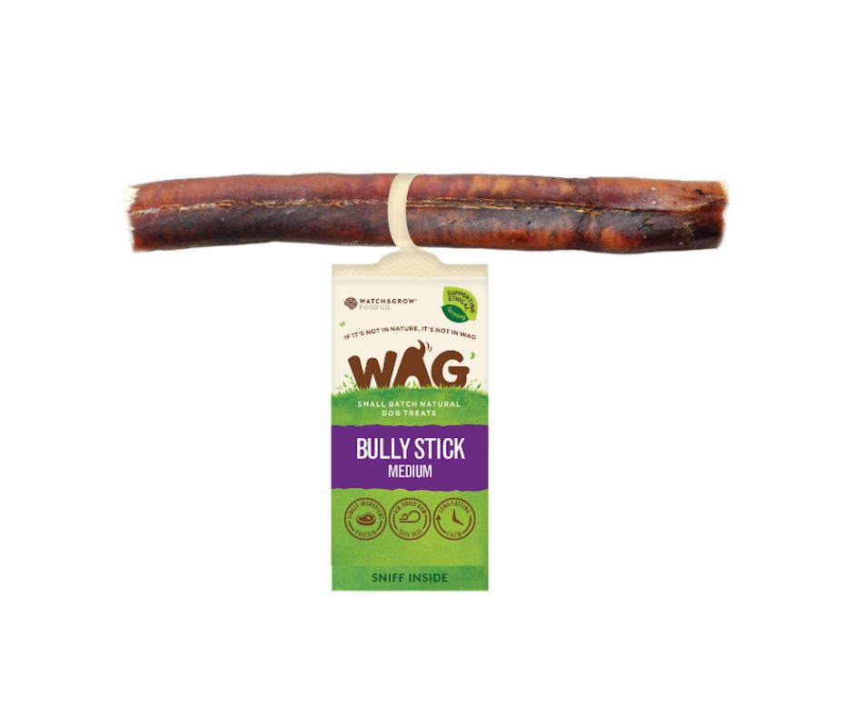 WAG Bully Stick Medium