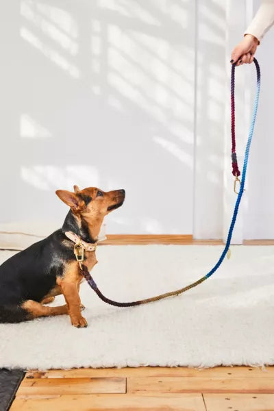 FOUND MY ANIMAL Adjustable Rope Dog Leash