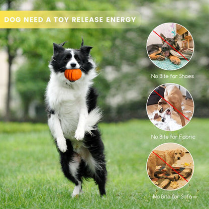 PETOPIA Ultra Tough Dog Toy / Zesty Orange