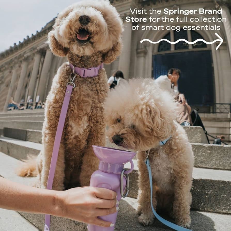 SPRINGER Classic Dog Travel Bottle 650ml