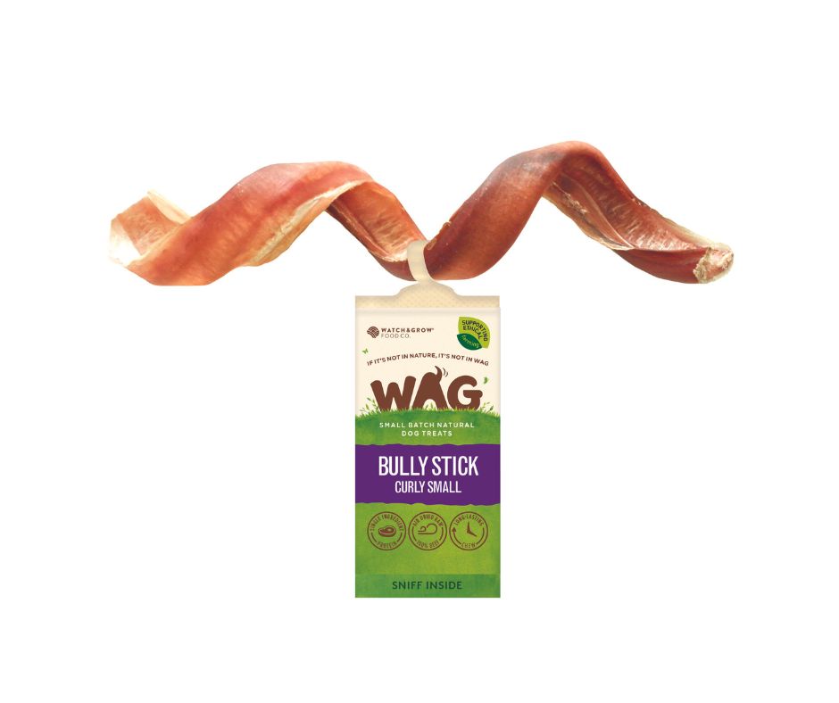 WAG Bully Stick Curly Small